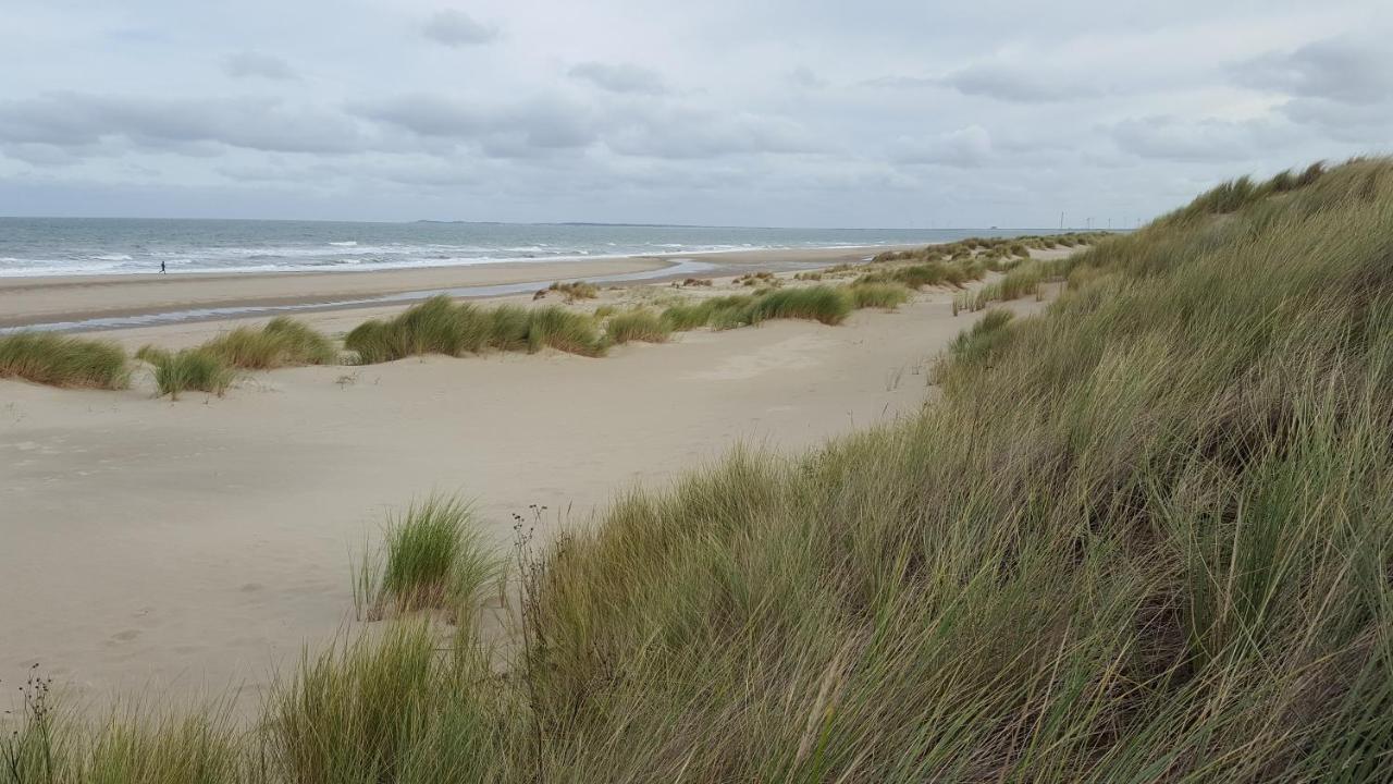 Augustinushof 13 Vrouwenpolder Exterior foto